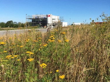 Billede af udstykningen Billede af udstykningen