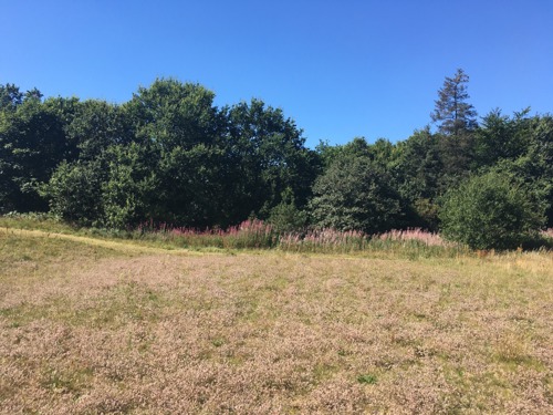 Billede af udstykningen Billede af udstykningen